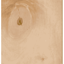 Фанера ФК березовая 8х1525х1525 сорт III/IV (Ш2)